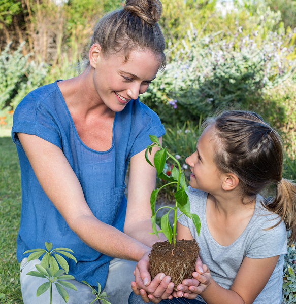 Tentang Kami community